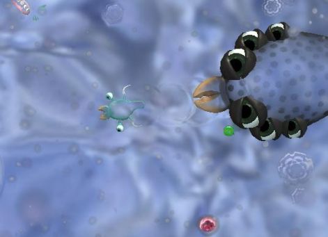 spore2.jpg